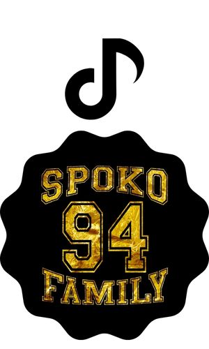 Spoko Family TikTok